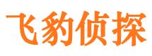 茶陵侦探公司